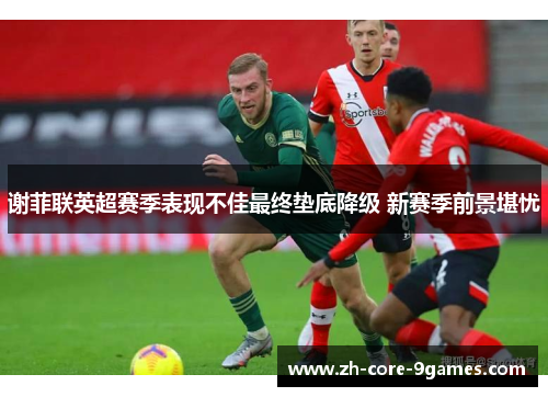 谢菲联英超赛季表现不佳最终垫底降级 新赛季前景堪忧 谢菲联英超赛季表现不佳最终垫底降级 新赛季前景堪忧